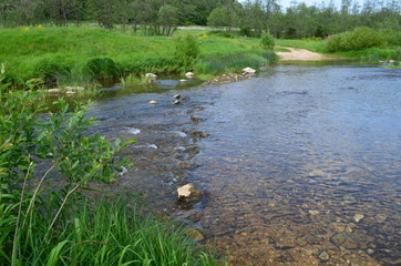 деревня Холохольня. Старицкий район. Тверская область