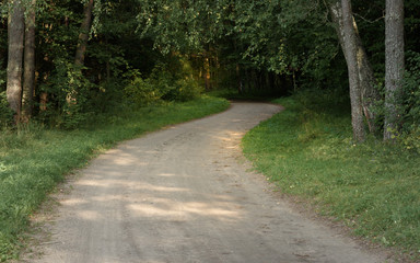 Obraz premium turn field road between trees in the summer forest
