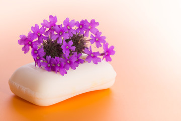 Obraz na płótnie Canvas Soap topped with purple Prairie Verbena flower, on gradient orange background
