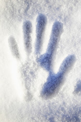 Footprints in the snow