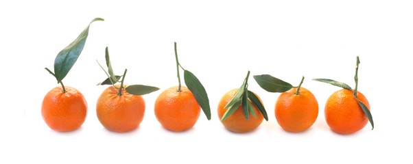 Tangerines
