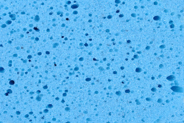 Sponge background