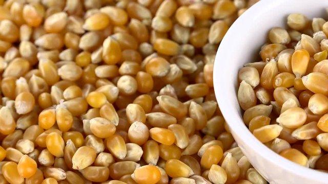 Dried Maize as not loopable roating 4K UHD footage