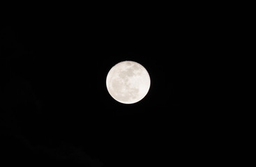 Obraz premium Full moon