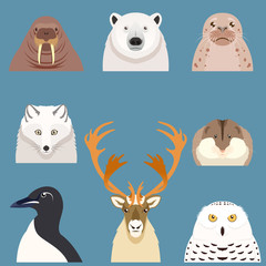 Set of flat arctic animal icons