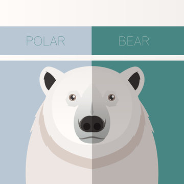 Polar Bear flat postcard