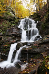 Fototapeta premium Beautiful view of the waterfall in the beech forest in the golden autumn season.