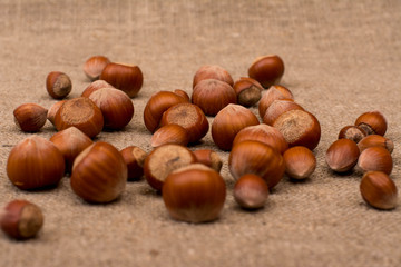 Hazelnuts on sackcloth fabric