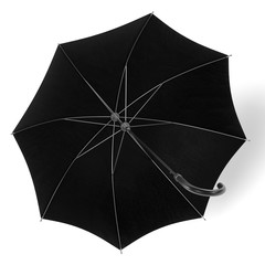 realistic 3d render of umbrella
