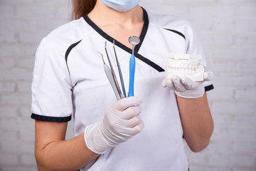 teeth model and dentist tools in female hands