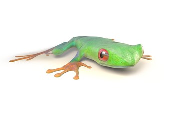 red eyed tree frog from tropical rainforest of Costa Rica isolated on white. Agalychnis callidrias. 3d illustration
