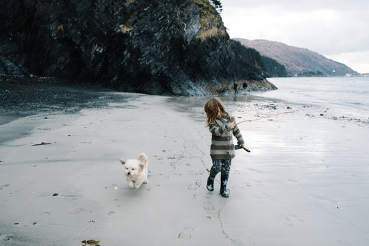 Girl playing with dog on beach