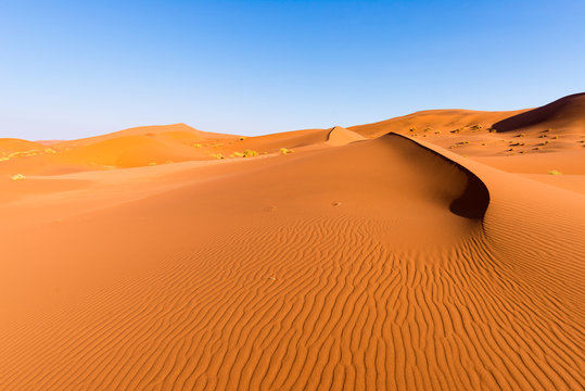 Scenic ridges of sand dunes in Sossusvlei, Namib Naukluft National Park, best tourist and travel attraction in Namibia. Adventure and exploration in Africa.