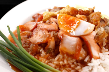 Roast pork rice, Grilled pork with red sauce on rice, Asia food.