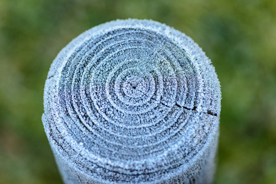 Frost