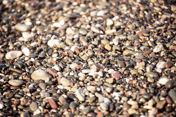 Sea pebble colorful wet background, vintage hipster image