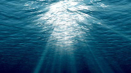 Fototapeta premium Podwodny