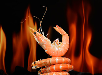 Cooked shrimps,prawns on flame background