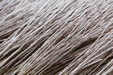 Tree branches on frost frozen.