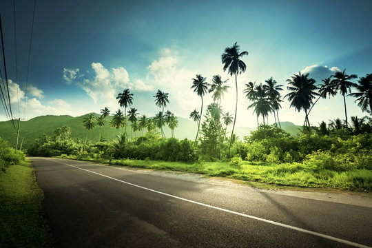 Fototapeta empty road in jungle of Seychelles islands