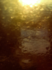 Drops on the window with morning sun in backlight