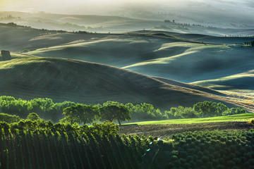 Frühlingsnebel über der Landschaft © Jarek Pawlak