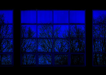 trees reflected in the windows of a large sports complex at night.