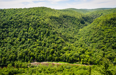 Obraz premium Pine Creek Gorge