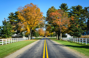 Allegheny National Forest