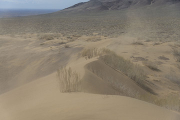 Sand dune, desert