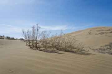 Sand dune, desert