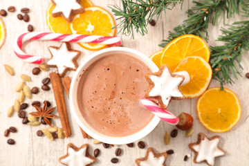 Fototapeta na wymiar hot chocolate for christmas