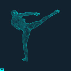 Fototapeta na wymiar Fighter. Sports concept. 3D Model of Man. Human Body. Sport Symbol