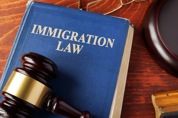 Book with title immigration law on a table. - obrazy, fototapety, plakaty