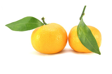 Мандарины на белом фоне крупным планом