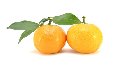 Мандарины на белом фоне крупным планом