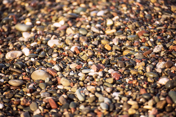 Sea pebble colorful wet background, vintage hipster image