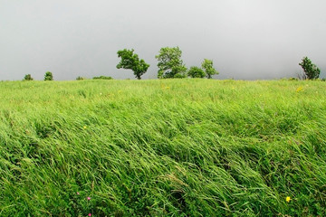 Windy weather in the spring in the mountains