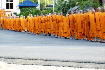 Buddhist Monks in thailand walk in to temple.