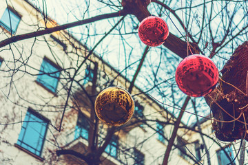 christmas balls at naked tree at berlin