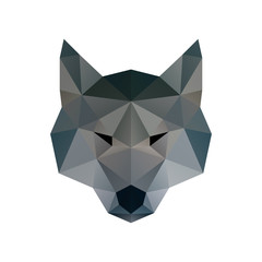 Low poly illustration. Wolf