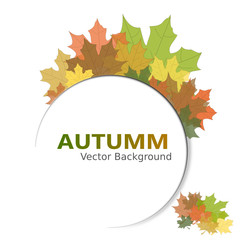 Fondo para el oto&ntilde;o 