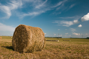 Rural landscape. Hay bales on the field after harvest