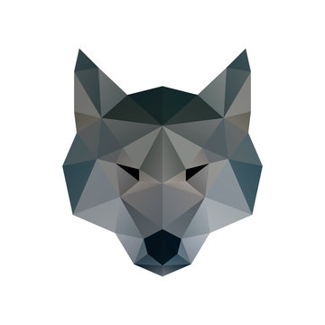 Low poly illustration. Wolf