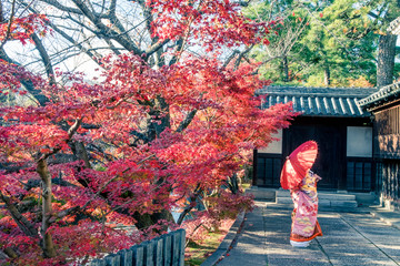 Geisha holding red umbrella stand under maple tree 