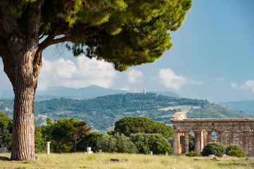 Landschaft mit Pinie und Griechischem Tempel 