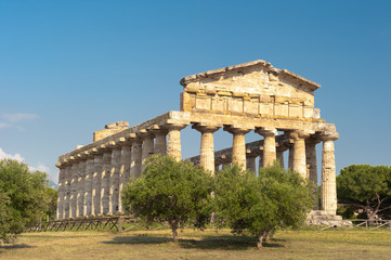 Tempel des Poseidon in in der Tempelanlage von Paestum mit olivenbaum