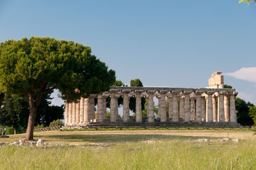 Fototapeta na wymiar Tempelanlage Paestum Tempel der Athene 