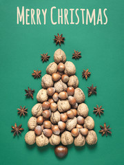 Organic christmas card with tree made of walnuts, hazelnuts and star anise.