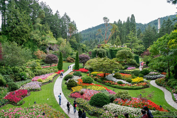 Obraz premium Butchart Gardens in Brentwwod Bay Vancouver Island